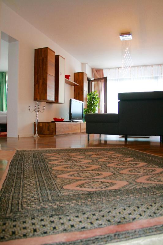 Two-Bedroom Apartment image 4