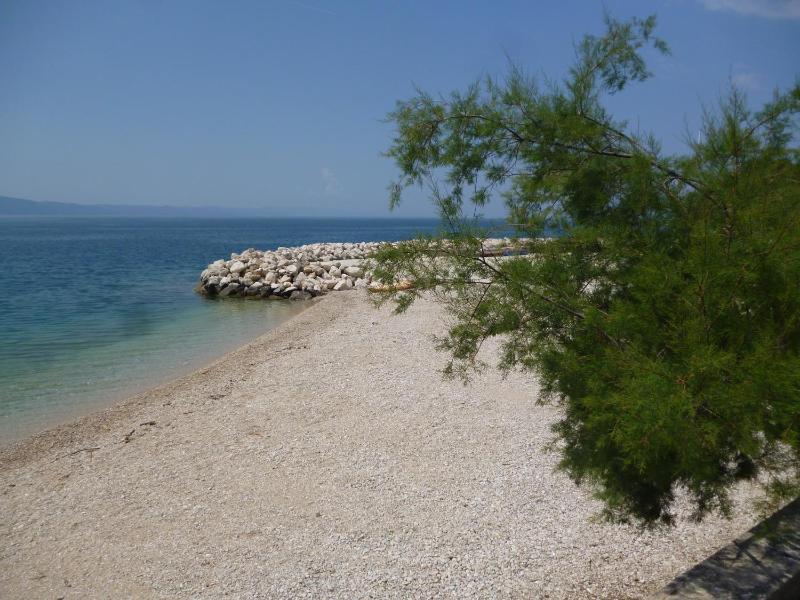 Adel - image 3
