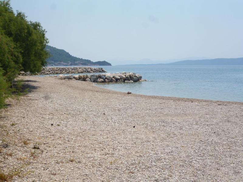 Adel - image 5