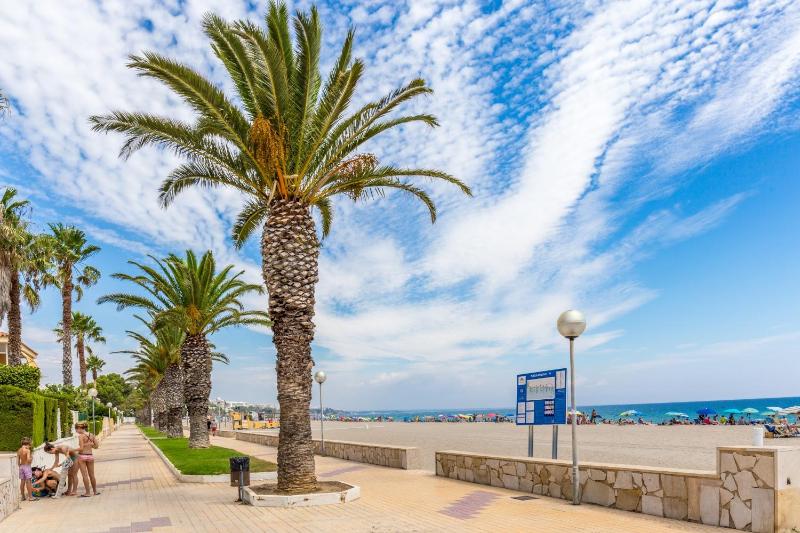Arenda Casablanca Pino Alto - image 8