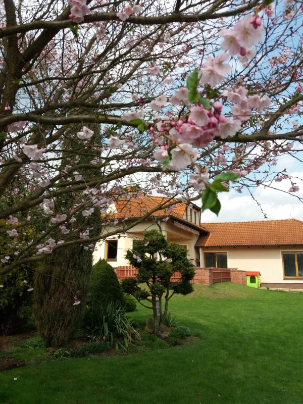 Villa Holiday - image 19