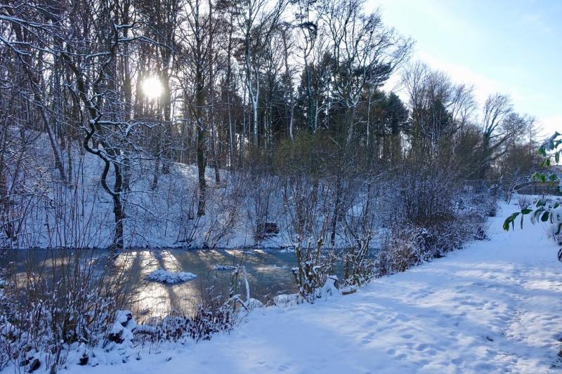 Haus am Wald Klingberg - image 43