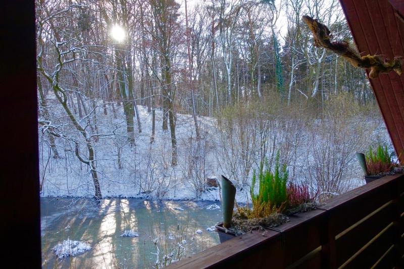 Haus am Wald Klingberg - image 31