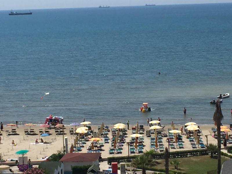 One-Bedroom Apartment image 3