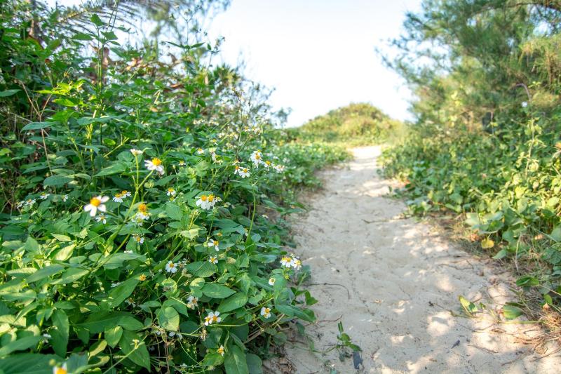 Jasmine Garden - image 5