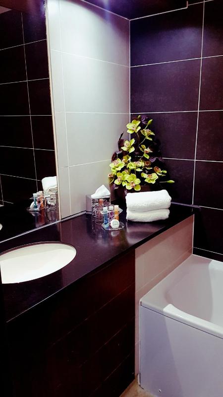 Double or Twin Room image 2