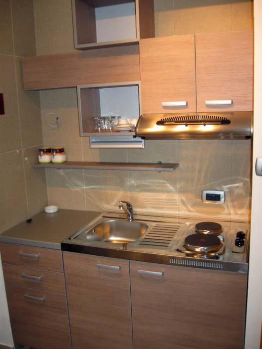 One-Bedroom Apartment image 4