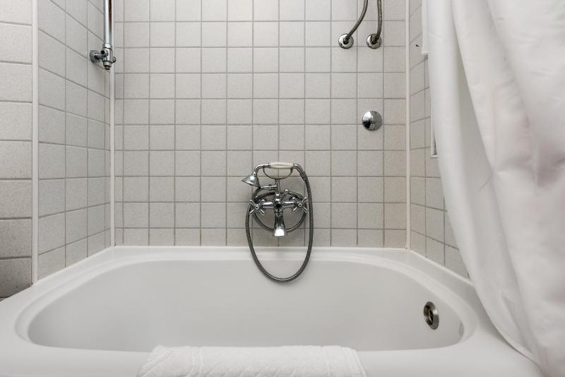 One-Bedroom Apartment image 4