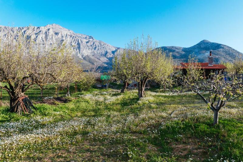 Deluxe Apartment image 3