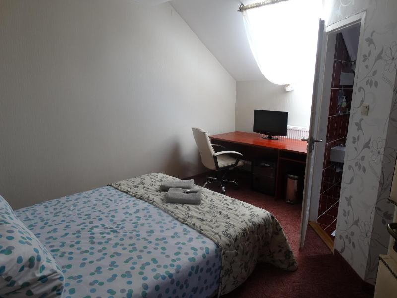 Deluxe Double Room image 4