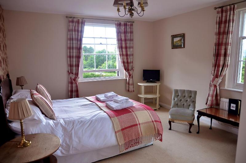 Deluxe Double Room image 4