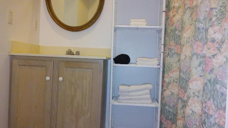 One-Bedroom Apartment image 3