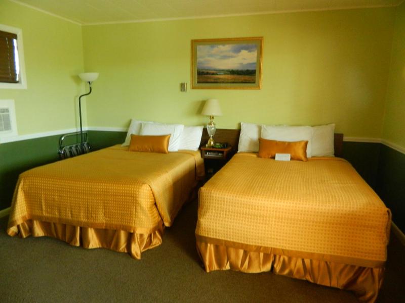 Economy Quadruple Room image 2