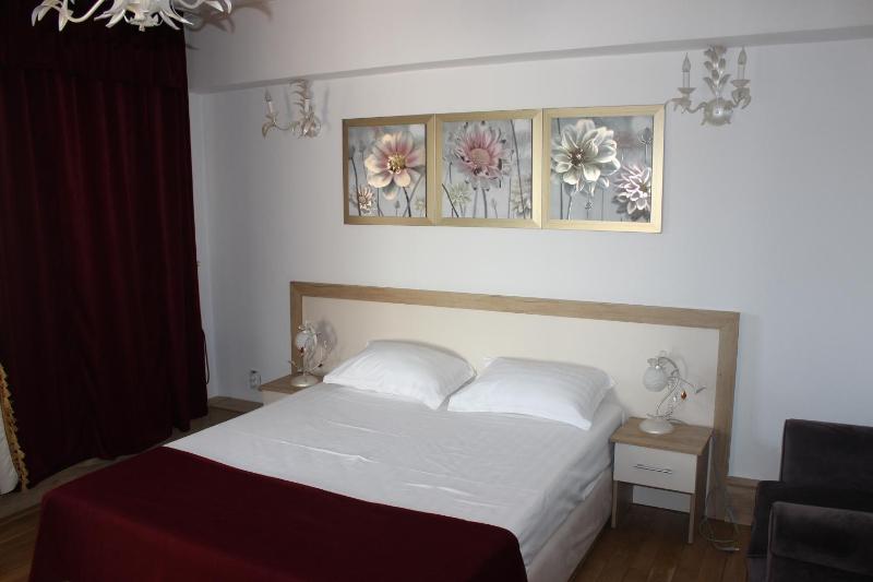 One-Bedroom Apartment image 3