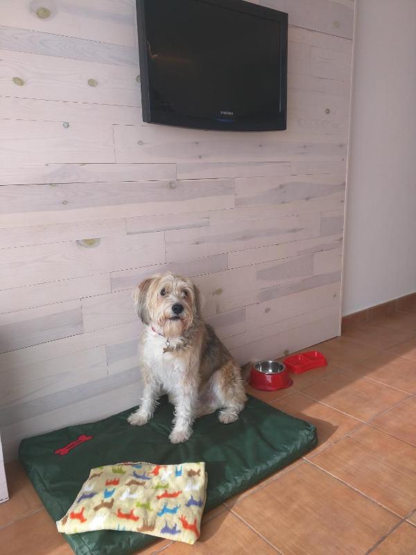 Superior Two-Bedroom Apartment image 2