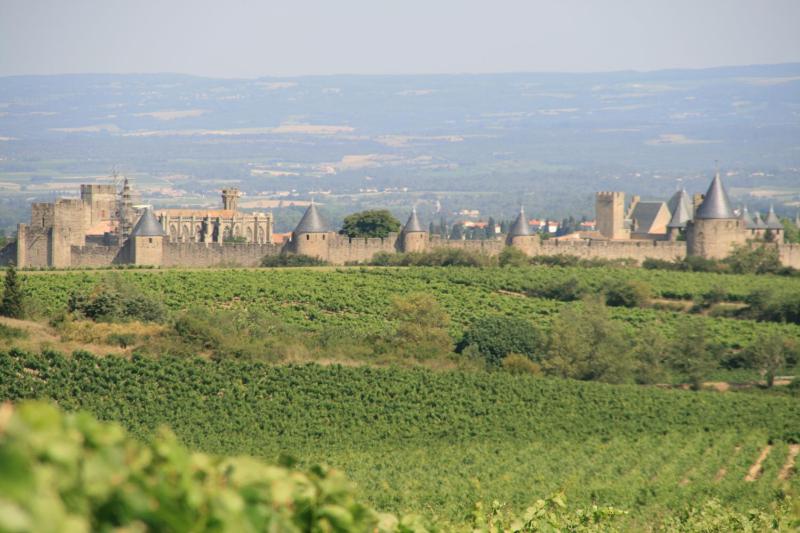 La Maison sur la Colline - image 3