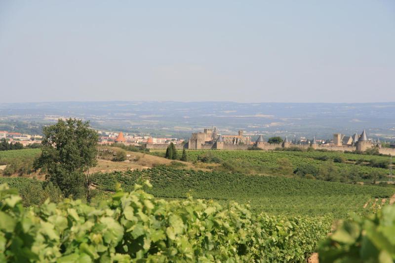 La Maison sur la Colline - image 39