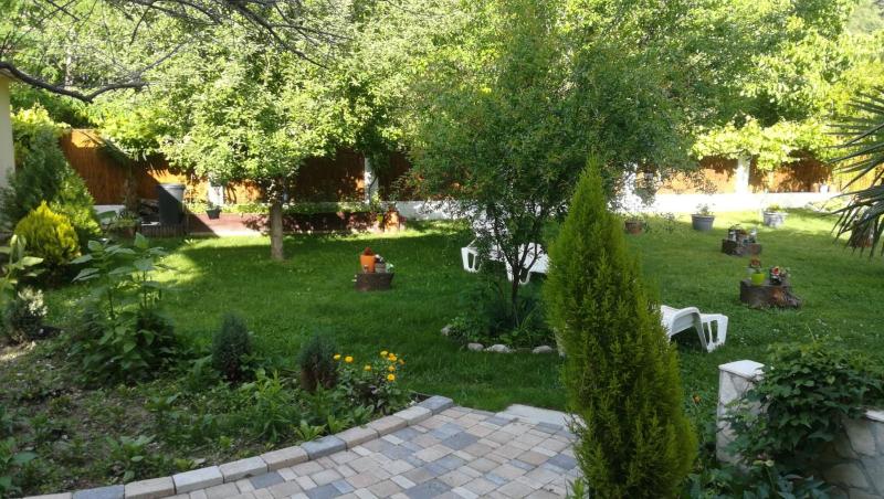 Double Room with Garden View image 1