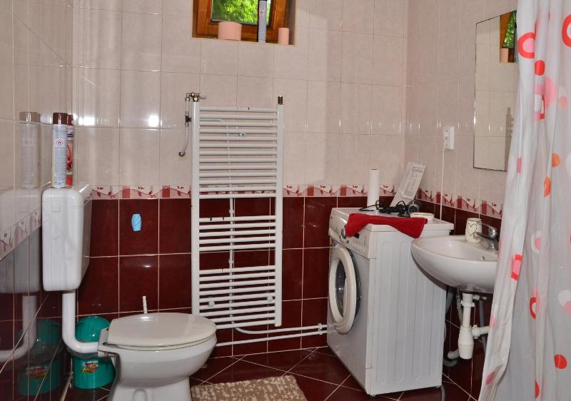 Two-Bedroom Apartment image 4