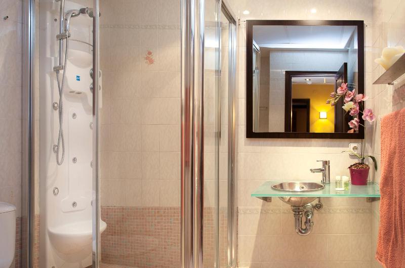 One-Bedroom Apartment image 2