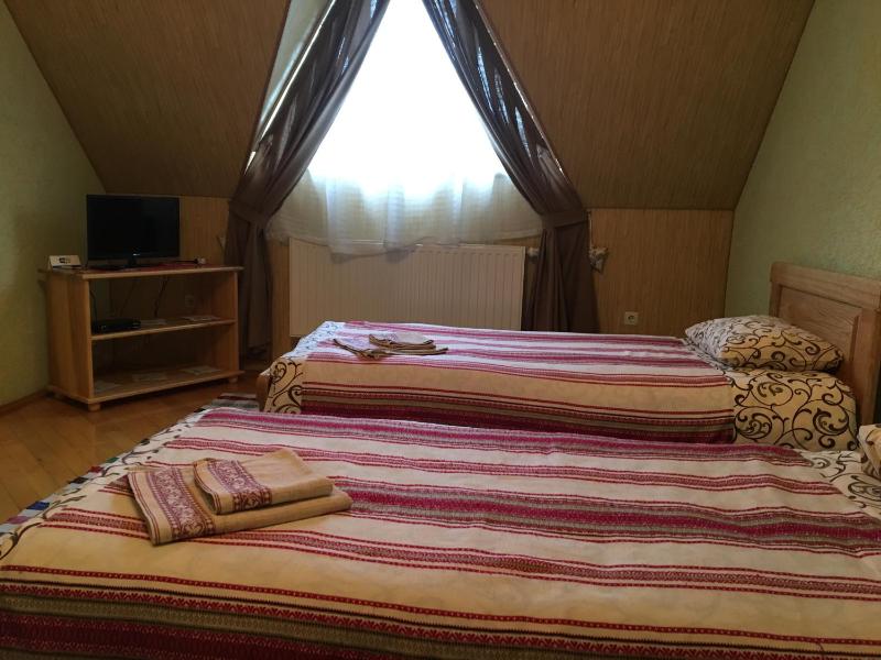 Budget Twin Room image 3