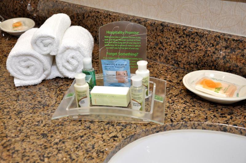 King Room - Hearing Accessible - Roll-in Shower image 4