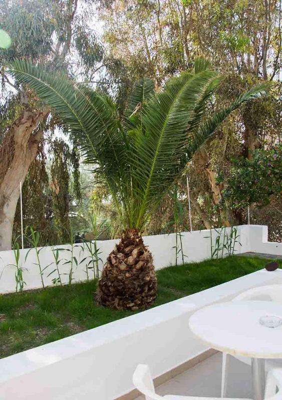 One-Bedroom Apartment image 3