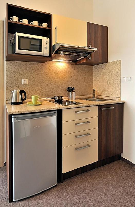 Business Apartment (2 Adults)  image 3