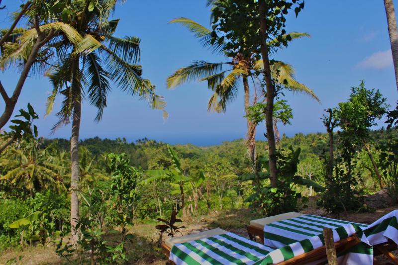 Atuh Forest Cottage - image 26