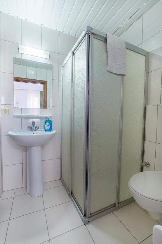 One-Bedroom Apartment image 2