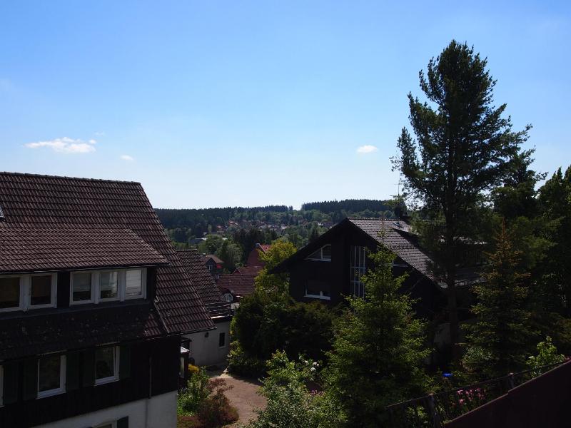 Ferienwohnung Schimmer Wurmbergblick - image 12