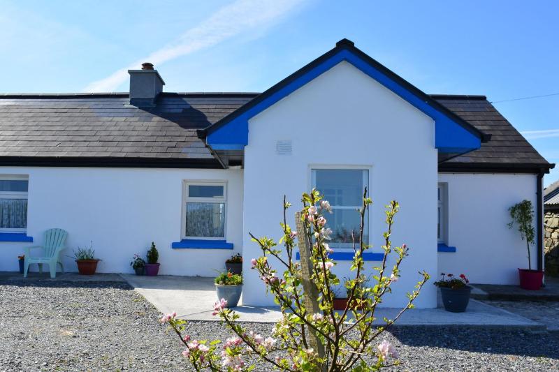 Cottage 312 - Ballyconneely - image 10