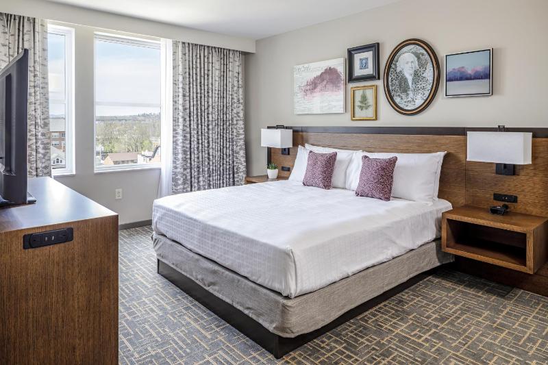 Deluxe King Room image 1
