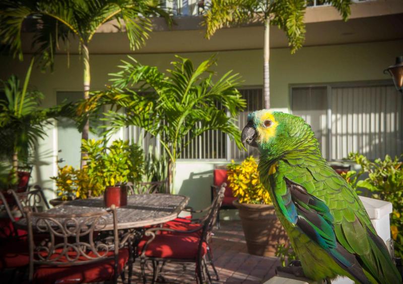 The Big Coconut Guesthouse - Gay Men's Resort - image 7
