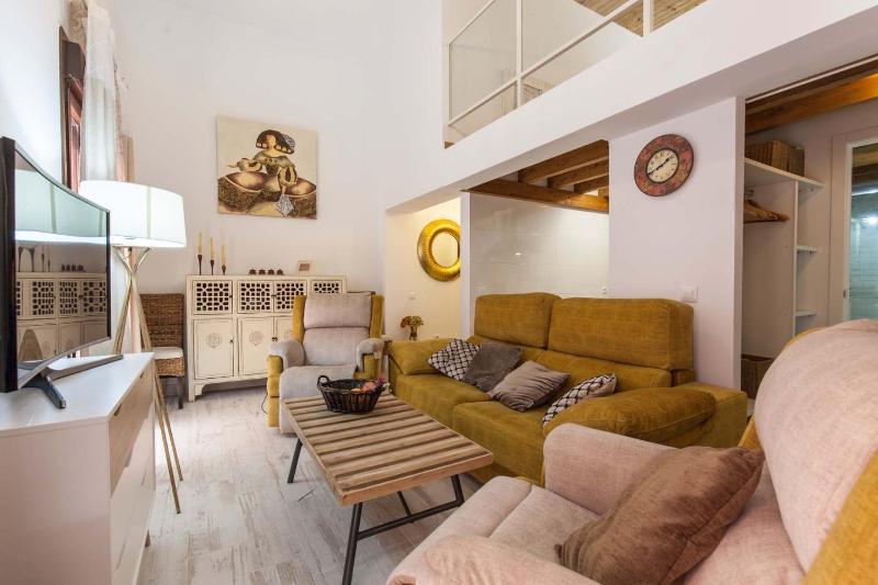 Loft / Duplex with charming historic center. WIFI - image 16