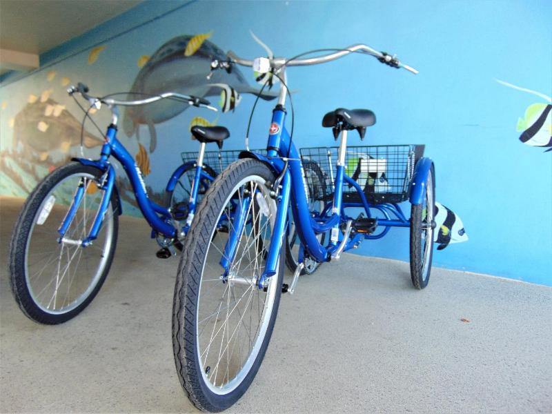 Dolphin Key Resort - Cape Coral - image 31