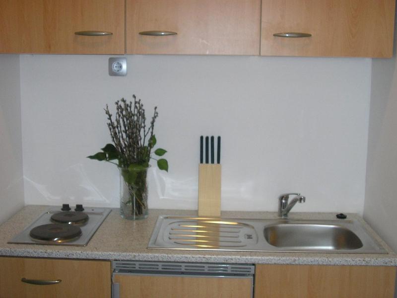 One-Bedroom Apartment (3 Adults) image 3