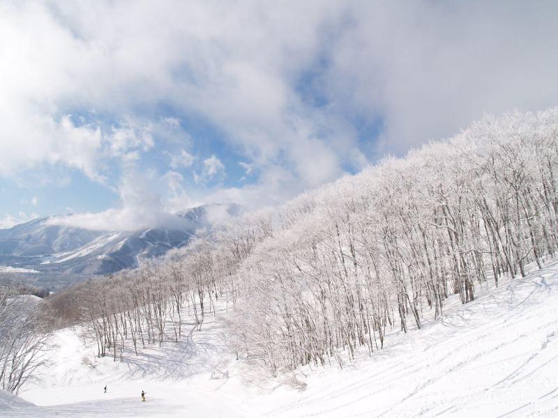 Hakuba Youluri - image 4
