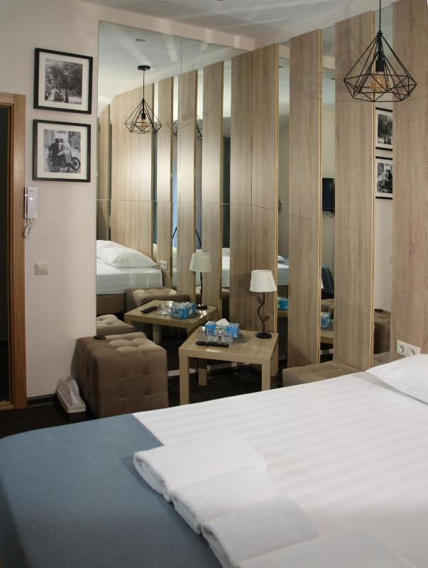 Large Double Room image 1
