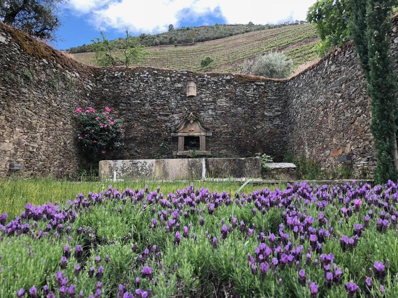 Four-Bedroom House image 4