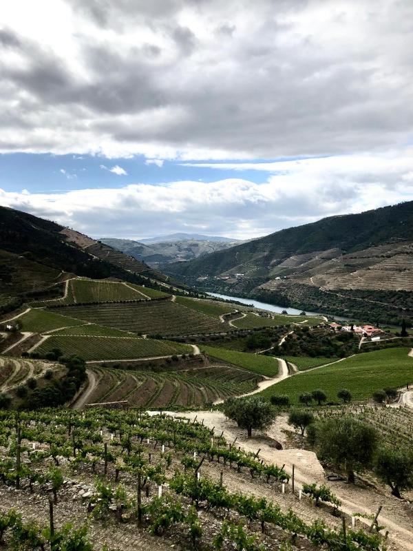 Four-Bedroom House image 3