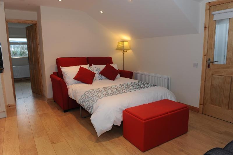 One-Bedroom Apartment image 2