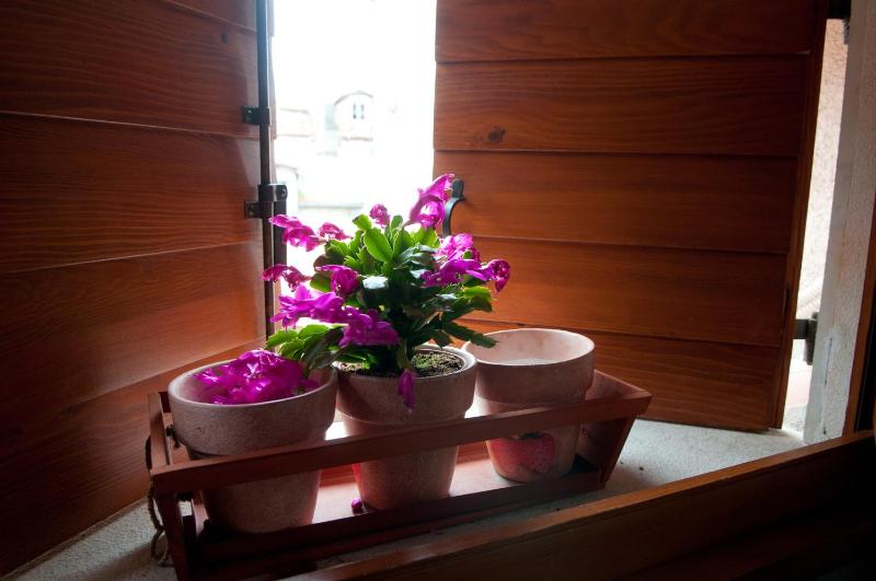 Comfort One-Bedroom Apartment image 2