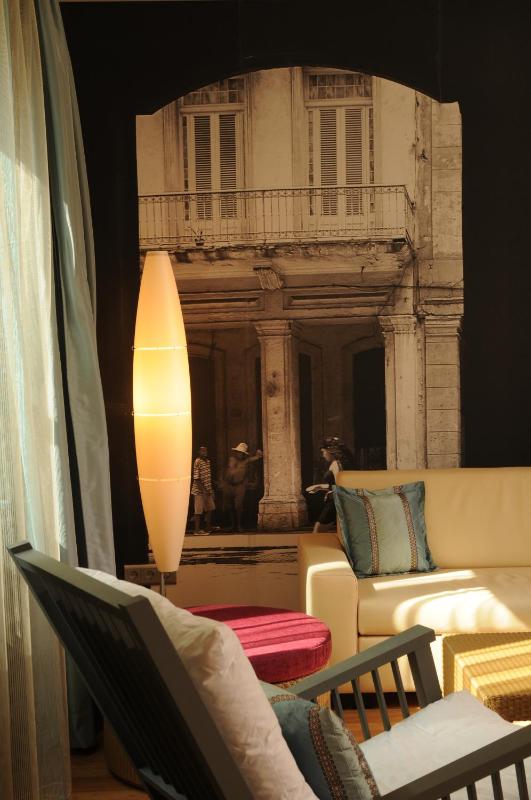 King Suite with Bathtub image 2