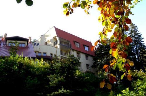 Hotel Carmen - image 16