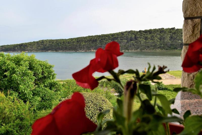 Apartment with Terrace and Sea View image 4