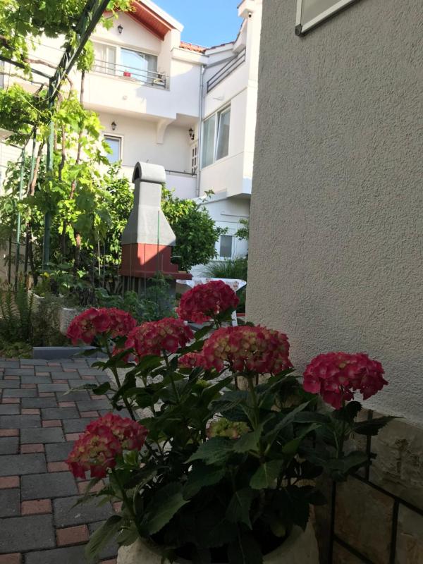 Apartment - Ground Floor image 3