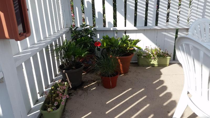 Amelia's Landing - image 33