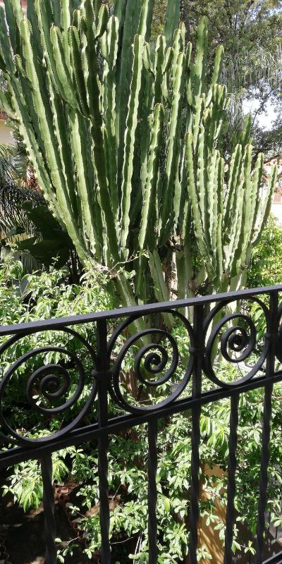 Villino with Garden - image 26