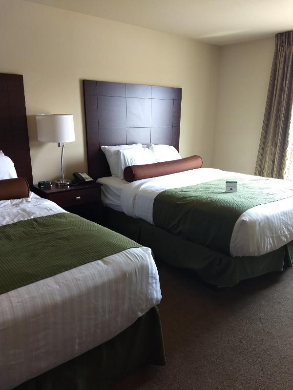 Queen Room with Two Queen Beds image 2